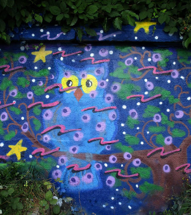Detail aus OLLIE, die magische Eule, im Zauberwald. Graffiti, gesprayt vom jenischen Autor und Graffitikünstler Tom Paschold (alias BIRD, SNAKE, CHUCO, SLAP, OLLIE, WEENIE, etc., Free Wall Oberer Letten, Zürich 2016
Jenische Graffitikunst. Jenische Kultur.